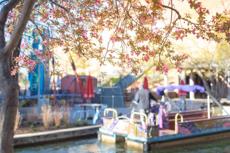 Selektiver Fokus Rotbud Blume Blüte und Frühling zarten Blättern in Bricktown Unterhaltungsviertel, Flusskanal Wassertaxi Tour Hintergrund, Reiseziel in der Innenstadt von Oklahoma City. USA