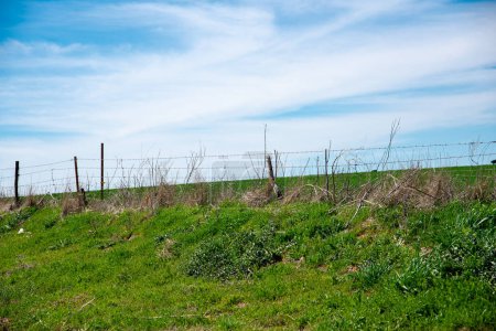 En regardant vers le haut des clôtures en fil de fer barbelé et poteau sous le ciel bleu nuageux ensoleillé sur ranch gratuit élevage vache emplacement rural Nord du Texas, élevage de gros troupeaux d'animaux, protection des frontières agricoles. États-Unis