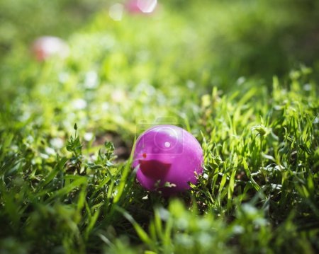 Toned photo shallow DOF colorful Easter eggs on green grass field with early morning backlit light, eggs hunting tradition at local Church backyard, Dallas, Texas, Christian holiday celebration. USA