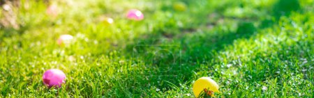 Panorama view selective focus colorful Easter eggs on green grass field, early morning backlit light, Easter eggs hunting tradition, local Church backyard, Dallas, Texas, Christian holiday event. USA