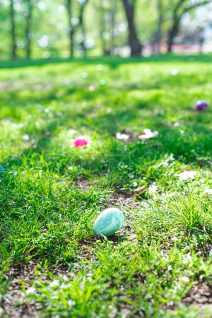 Lush green tree, green grass field with load of colorful plastic eggs at Church backyard ready for kids Easter eggs hunting collecting tradition game, Dallas, Texas, Christian holiday celebration. USA