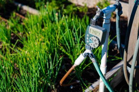 Photo for Close-up large display of water timer at community garden in Dallas, Texas, outlet hose faucet digital timer with Y splitter connector automate drip irrigation system, water energy conservation. USA - Royalty Free Image