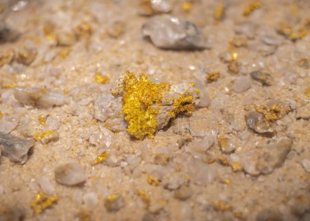Gold ore rock sample on display at museum in Texas, shiny yellow flecks or veins of gold on the surface of rock, iron oxide copper gold on the edges of granite or dark rock flecked with gold. USA