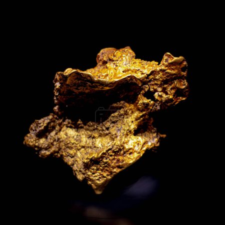 Photo for Mineral loaded iron stained quartz gold specimen ore isolated on black background, gangue minerals in gold ores, shiny yellow flecks or veins of gold on the surface of rock, granite or dark rock. USA - Royalty Free Image