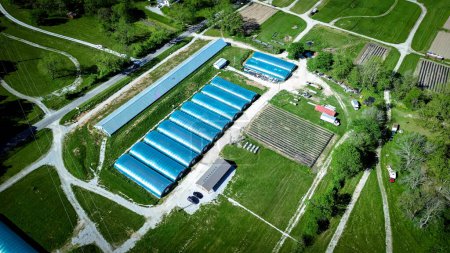 Row of high tunnel greenhouse or polyhouse, hoophouse with extra-long polythene growing hothouse at commercial farm in Ozarks aera, Mansfield, Missouri, aerial repetitive view large industrial. USA
