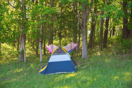 Zelt- und Hängemattenaufbau unter üppigen hohen Bäumen Schatten auf einer Wiese im Naturpark Ozarks Area, Mansfield, Missouri, kleines Zelt in der Wildnis Abenteuer, Sommer Outdoor-Aktivitäten. USA