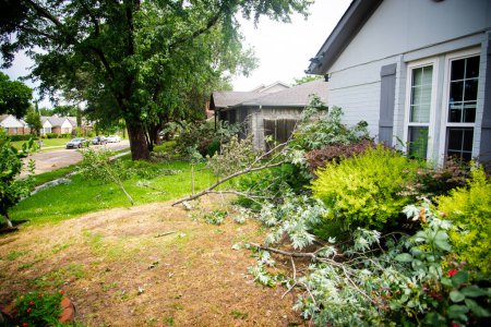 Une forte tempête a laissé des traces de débris de branches d'arbres sur le bord de la cour avant de la maison résidentielle à Dallas, Texas, un fort vent, un orage dangereux, une réclamation d'assurance habitation, un temps violent. États-Unis