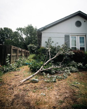 Gran rama de árbol de arce caído por el patio delantero casa ajardinada junto a la acera dañada por el fuerte viento fuerte tormenta en Dallas, Texas, concepto de reclamo de seguro de vivienda, clima severo, tornado, huracán. Estados Unidos