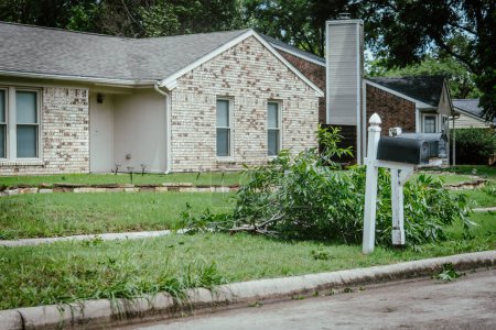 Heavy storm left trails of damages tree branches debris at front yard curbside of residential house in Dallas, Texas, strong wind dangerous thunderstorm, home insurance claim, severe weather. USA