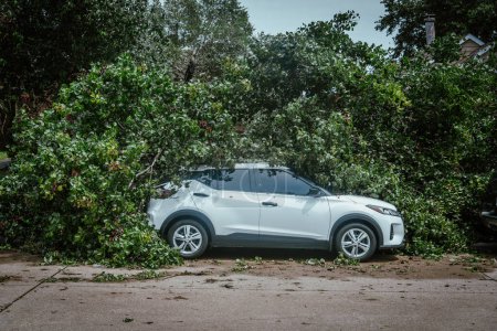 Vista lateral coche SUV blanco dañado por rama de árbol caído en la calle residencial, fuerte viento fuerte tormenta en Dallas, Texas, concepto de reclamo de seguro de automóvil, clima severo, escombros de tornado. Estados Unidos