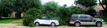 Panorama parked cars on residential street damaged by fallen tree branch, strong wind heavy thunderstorm in Dallas, Texas, automobile insurance claim concept, severe weather, tornado debris. USA