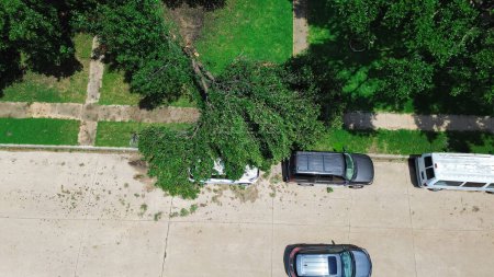 Broken large Bradford Callery pear damages parked car on residential street, suburban house front yard curbside after severe thunderstorm, Dallas, Texas, home insurance claim, storm debris aerial. USA