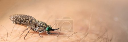 Photo for Skin Stories: Unveiling the Legacy of an Insect's Bite - Royalty Free Image
