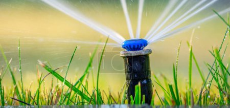 Nahtlose Bewässerung: Rasenhöhen mit automatischer Präzision