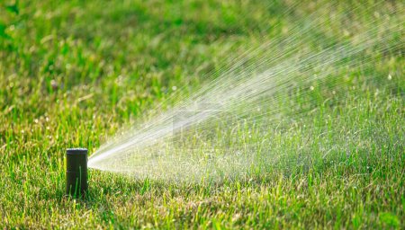 Téléchargez les photos : Sérénade de jardin : Harmoniser la nature avec l'irrigation automatique des pelouses - en image libre de droit