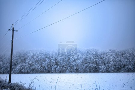 Photo for Frozen Network: Power Lines Weaving Through a Winter Wonderland - Royalty Free Image