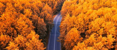 Téléchargez les photos : Dronescape Drive : Route asphaltée serpentant au milieu du feuillage d'automne - en image libre de droit