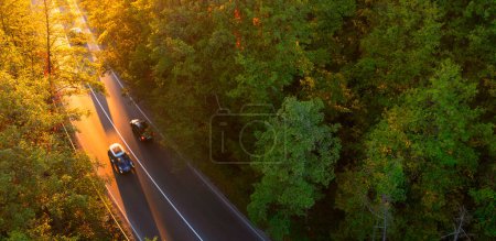 Téléchargez les photos : Voies D'or : Vue Aérienne De La Route D'asphalte à La Forêt D'automne - en image libre de droit