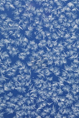 Photo for Frosty Tranquility: Blue Glass Bathed in Soft Winter Light - Royalty Free Image
