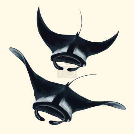 Illustration for Manta rays in the ocean vector illustration. - Royalty Free Image
