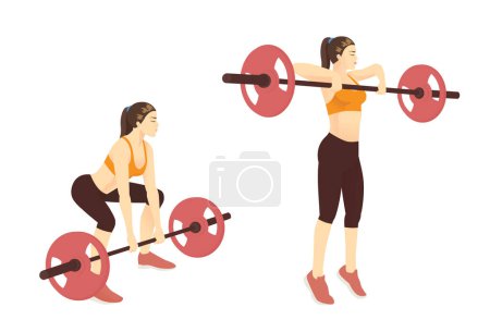 Téléchargez les illustrations : Femme faisant Barbell séance d'entraînement à Barbell High Pull pose by weight Bar. Cible d'exercice de poids libre sur l'épaule, le dos, la hanche, le bras, la jambe avec équipement. - en licence libre de droit