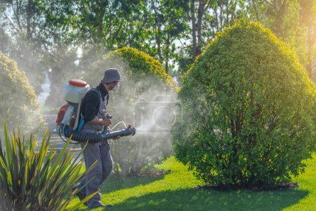 Téléchargez les photos : Travailleur en salopette vaporise avec des poisons et des fongicides buissons d'arbustes à feuilles persistantes dans un parc municipal - en image libre de droit