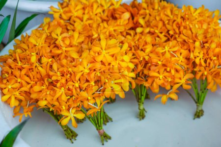 Téléchargez les photos : Orange fraîche Mokara bouquet de fleurs d'orchidée marché de vente d'eau coupée - en image libre de droit