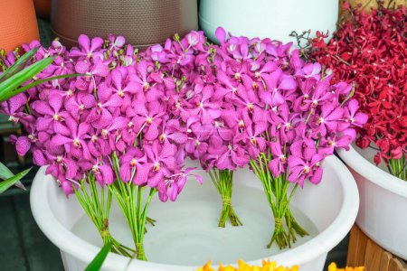 Téléchargez les photos : Bouquet de fleurs d'orchidée rose magenta pourpre frais Mokara coupé marché de vente d'eau - en image libre de droit