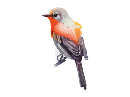 Illustration for Watercolor bird and sparrow vector illustration Realistic hand drawn Painting, On branche, White isolated background. - Royalty Free Image
