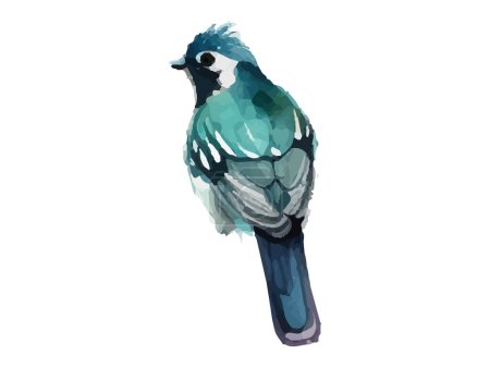 Watercolor bird and sparrow vector illustration Realistic hand drawn Painting, On branche, White isolated background.
