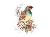 Watercolor bird and sparrow vector illustration Realistic hand drawn Painting, On branches decorated by leaves and flowers, White isolated background. Poster #647458736
