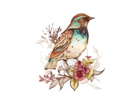 Watercolor bird and sparrow vector illustration Realistic hand drawn Painting, On branches decorated by leaves and flowers, White isolated background. Poster 647458806