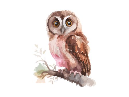 Téléchargez les illustrations : Aquarelle peinture hibou, oiseau animal hibou vecteur illustration. - en licence libre de droit