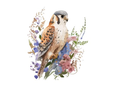 Illustration for Watercolor falcon bird, vector ilustration decorated by flowers. - Royalty Free Image