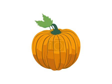 Illustration for Autumn Halloween Harvest Pumpkins Vector illustration - Royalty Free Image
