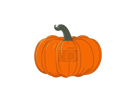 Illustration for Autumn Halloween Harvest Pumpkins Vector illustration - Royalty Free Image
