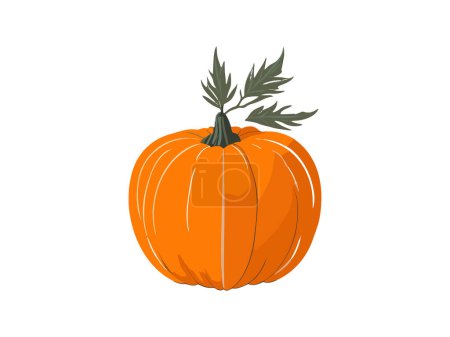 Téléchargez les illustrations : Automne Halloween Harvest Citrouilles Illustration vectorielle - en licence libre de droit