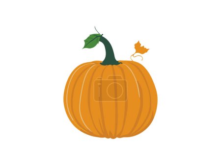 Ilustración de Otoño Halloween cosecha calabazas Vector ilustración - Imagen libre de derechos