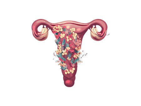 Illustration for Woman Womb Decorated With Flowers, Botanical Watercolor Vaginal Woman, Feminist Concept Vector Illustration Clipart - Royalty Free Image