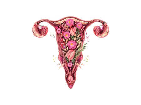 Illustration for Woman Womb Decorated With Flowers, Botanical Watercolor Vaginal Woman, Feminist Concept Vector Illustration Clipart - Royalty Free Image