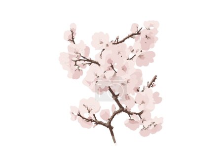 Illustration for Vector branch with spring flowers. watercolor tree branch. Detailed hand drawn clip art element. - Royalty Free Image