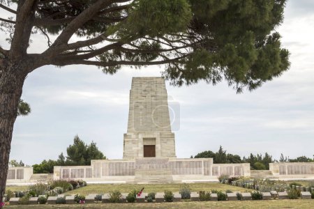 Téléchargez les photos : Pin solitaire Pin solitaire Mémorial ANZAC et cimetière aux champs de bataille de Gallipoli à Canakkale, Turquie. - en image libre de droit