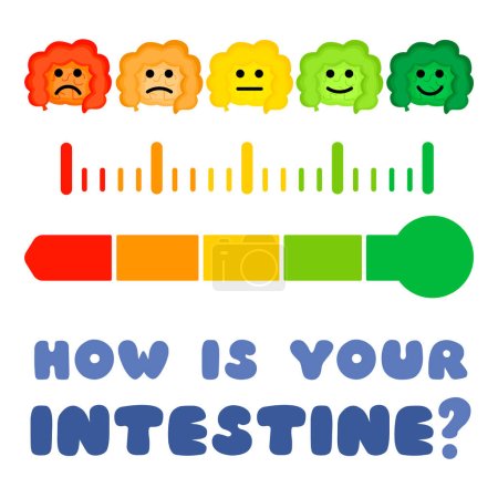 Téléchargez les illustrations : Intestinal wellness thermometer icon, how is the health of your intestine. Ideal for training and educational materials - en licence libre de droit