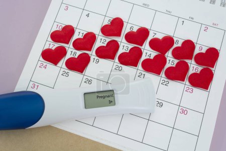 Photo for Positive pregnancy test with red heart shape on calendar. Trying To Conceive Concept. - Royalty Free Image
