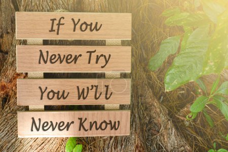 Photo for Motivational and inspirational quote on wooden frame - If you never try you will never know. - Royalty Free Image