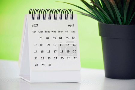 April 2024 desk calendar with potted plant on a desk with green background. Copy space.