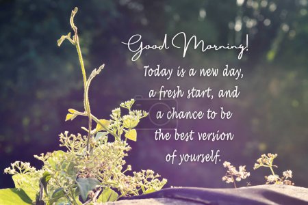 Grüne Natur mit motivierendem und inspirierendem Zitat Guten Morgen heute ist ein neuer Tag ein Neuanfang und eine Chance, die beste Version von sich selbst zu sein.
