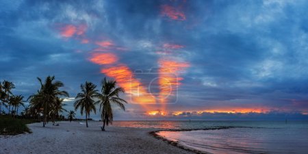 Foto de Colorido amanecer en la playa con palmeras en Key West, Florida, EE.UU. - Imagen libre de derechos
