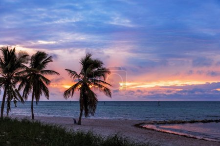 Téléchargez les photos : Lever de soleil coloré sur la plage avec des palmiers à Key West, Floride, États-Unis - en image libre de droit
