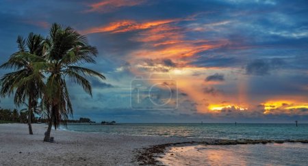 Foto de Colorido amanecer en la playa con palmeras en Key West, Florida, EE.UU. - Imagen libre de derechos